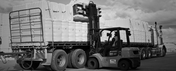 Break-Bulk Service